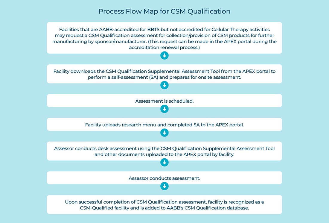 CSMQ Process Flow Map